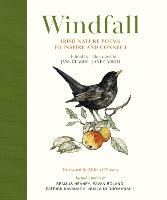Book cover of: Windfall