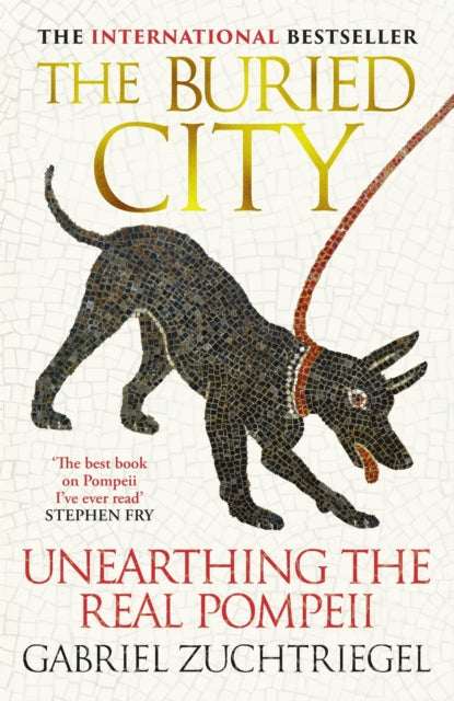Book cover of: Buried City