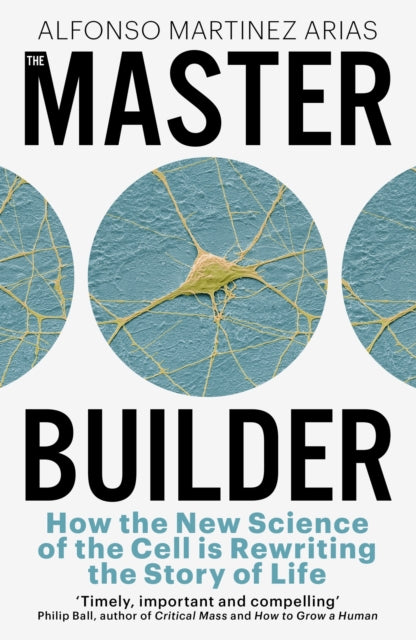 Book cover of: Master Builder