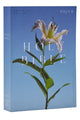 Book cover of: NRSV Catholic Edition Bible, Easter Lily Paperback (Global Cover Series). By: Catholic Bible Press