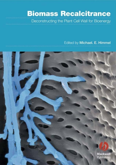 Book cover of: Biomass Recalcitrance