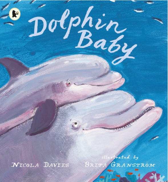 Book cover of: Dolphin Baby