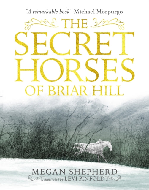Book cover of: Secret Horses of Briar Hill. By: Megan Shepherd