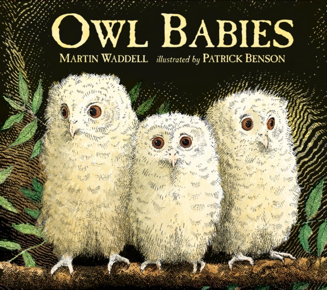 Owl Babies 9781406374377 Martin Waddell