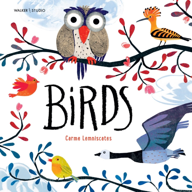 Book cover of: Birds. By: Lemniscates