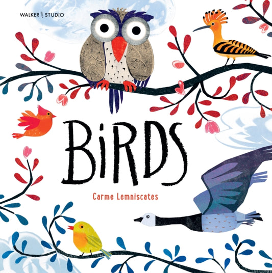 Book cover of: Birds. By: Lemniscates
