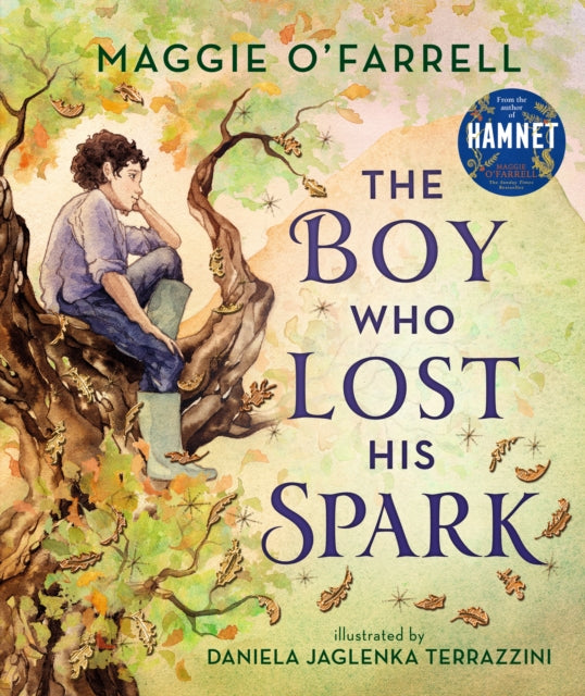 Book cover of: Boy Who Lost His Spark. By: Maggie OFarrell