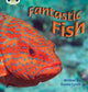 Book cover of: Bug Club Phonics - Phase 4 Unit 12: Fantastic Fish. By: Emma Lynch