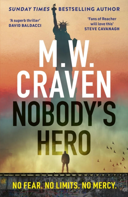 Nobody's Hero 9781408717608 M. W. Craven