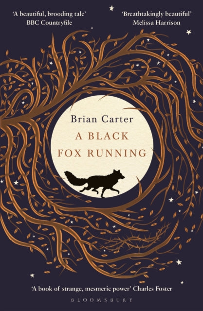 Book cover of: Black Fox Running. By: Brian Carter