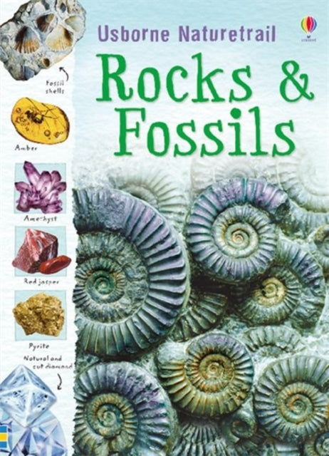 Rocks and Fossils 9781409527695 Struan Reid