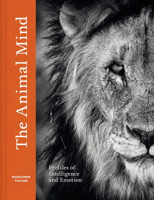 Book cover of: Animal Mind. By: Marianne Taylor