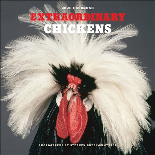 Book cover of: Extraordinary Chickens 2026 Wall Calendar
