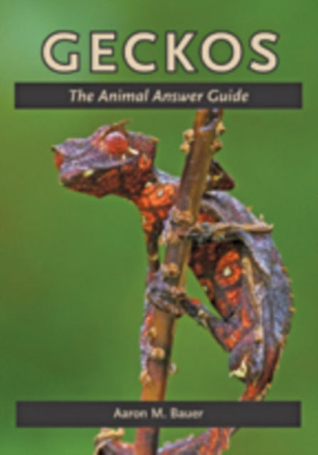 Book cover of: Geckos. By: Aaron M. Bauer
