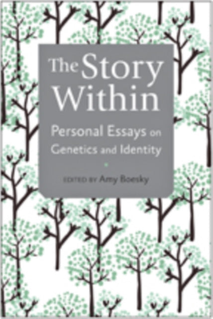 Book cover of: Story Within. By: Amy Boesky