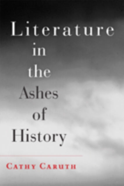Book cover of: Literature in the Ashes of History