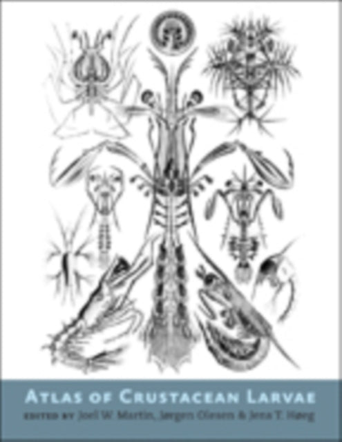 Book cover of: Atlas of Crustacean Larvae
