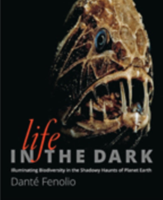 Book cover of: Life in the Dark. By: Danté B. Fenolio
