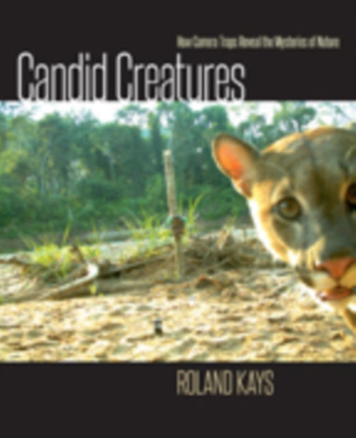 Book cover of: Candid Creatures. By: Roland Kays