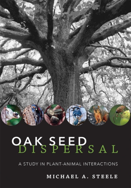 Book cover of: Oak Seed Dispersal. By: Michael A. Steele