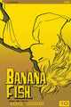 Book cover of: Banana Fish, Vol. 10. By: Akimi Yoshida