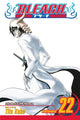 Book cover of: Bleach, Vol. 22. By: Tite Kubo