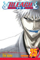 Book cover of: Bleach, Vol. 25. By: Tite Kubo