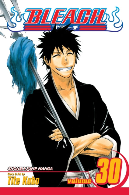 Book cover of: Bleach, Vol. 30. By: Tite Kubo
