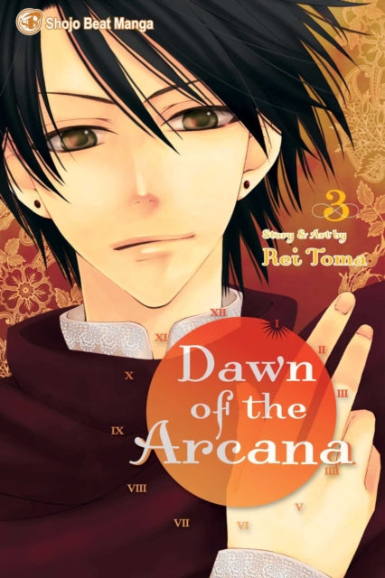Book cover of: Dawn of the Arcana, Vol. 3