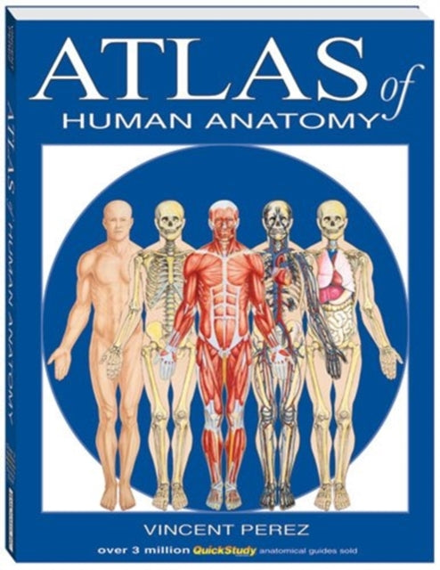 Book cover of: Atlas Of Human Anatomy. By: Vincent Perez