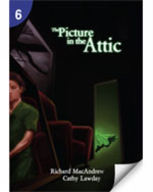 Book cover of: Picture in the Attic: Page Turners 6