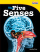 Book cover of: Five Senses