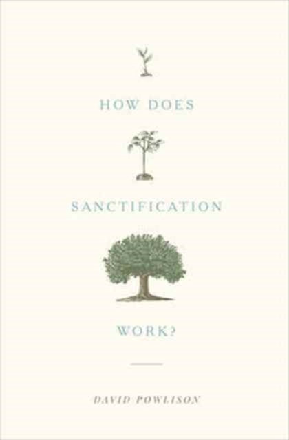 Book cover of: How Does Sanctification Work?. By: David Powlison