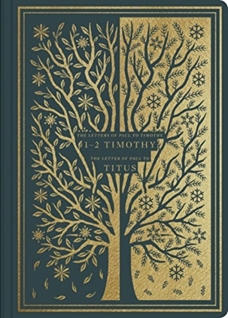 Book cover of: ESV Illuminated Scripture Journal