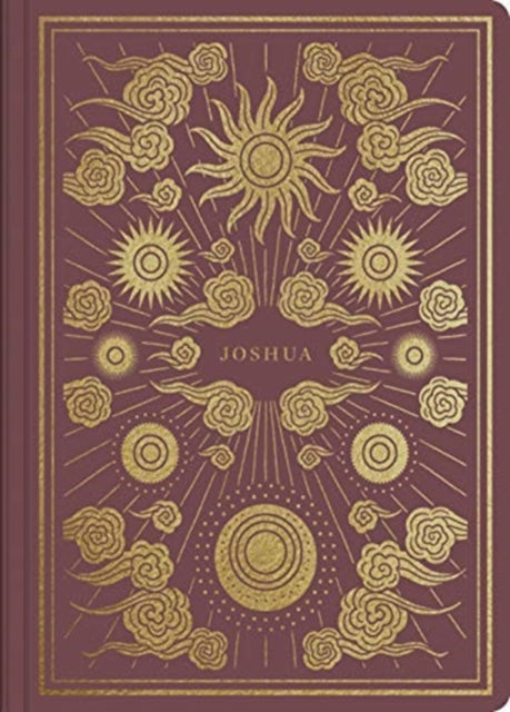 Book cover of: ESV Illuminated Scripture Journal