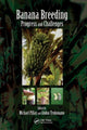 Book cover of: Banana Breeding. By: Michael Pillay