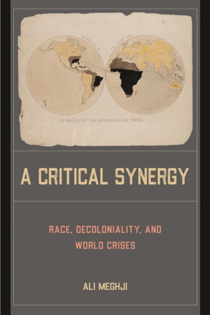 Book cover of: Critical Synergy. By: Ali Meghji