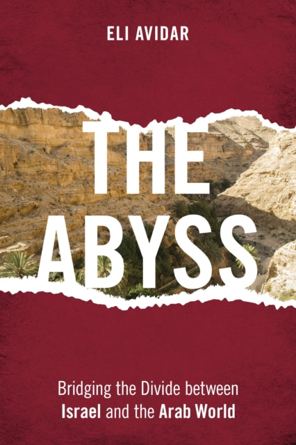 Book cover of: Abyss. By: Eli Avidar