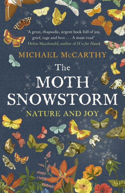 Book cover of: Moth Snowstorm. By: Michael McCarthy