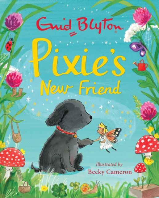 Pixie's New Friend 9781444949513 Enid Blyton