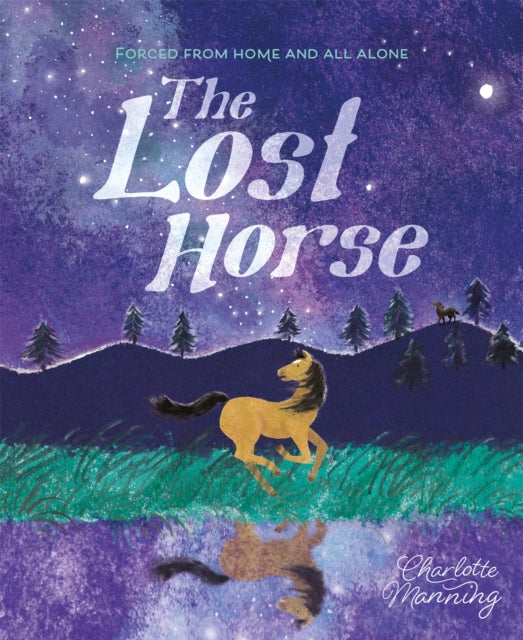 Book cover of: Lost Horse. By: Charlotte Manning