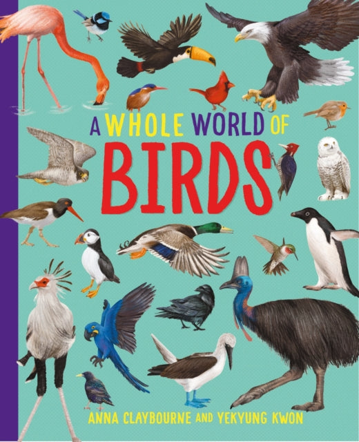 Book cover of: Whole World of...: Birds. By: Anna Claybourne