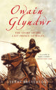 Book cover of: Owain Glyndwr. By: Terry Breverton