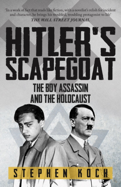 Hitler's Scapegoat, The Boy Assassin and the Holocaust 9781445699103 Stephen Koch