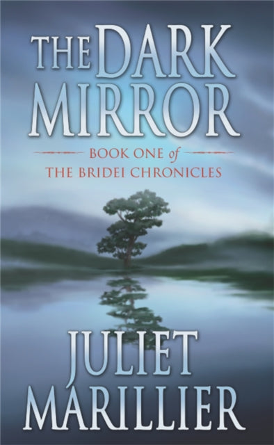 Book cover of: Dark Mirror