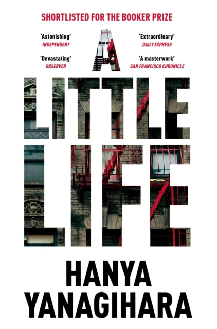Little Life 9781447294832 
