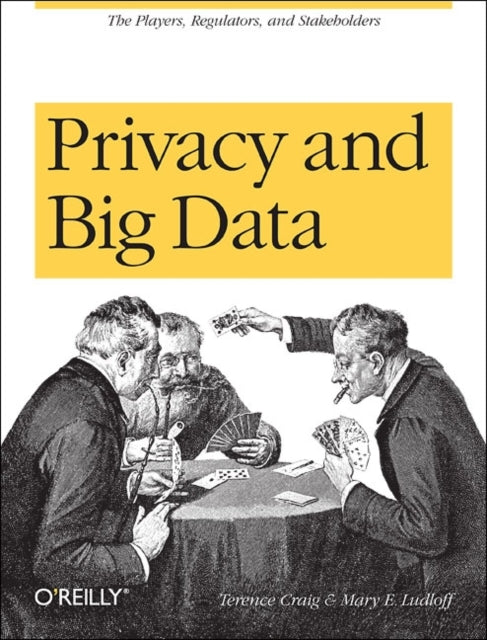 Book cover of: Privacy and Big Data. By: Terry Craig