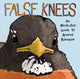 Book cover of: False Knees. By: Joshua Barkman