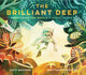 Book cover of: Brilliant Deep. By: Kate Messner