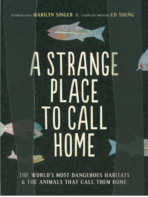 Book cover of: Strange Place to Call Home. By: Ed Young